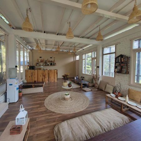 Freebird Nest 2 Stays & Cafe Jibhi Dış mekan fotoğraf